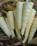 SAYUR REBUNG
