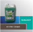 Sunlight Sabun Cuci Piring (Kemasan 4,5 - 5 L)