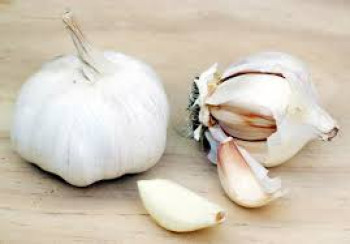 BAWANG PUTIH