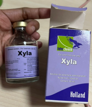 Preparat Xylasin