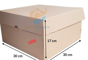 Dos Arsip 30x30x17 cm