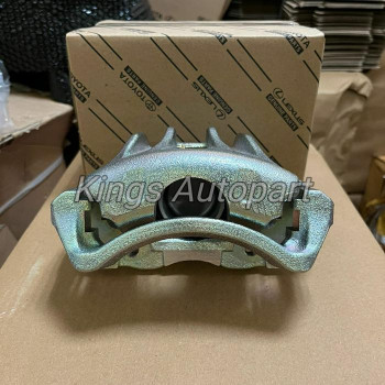 Piston & Kaliper Rem Innova Reborn