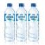 Aqua Botol 600Ml