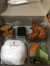  Paket Nasi Ayam Box Komplit  