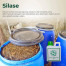 silase