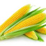 Jagung Manis