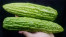 Sayur Pare Segar