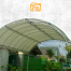  Sewa Tenda  
