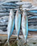 IKAN LAYANG