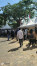 Job Fair Sulawesi Selatan