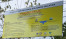 Papan Bicara
