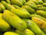 MANGGA MANGGA