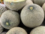 MELON MELON
