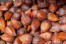 SALAK SALAK
