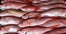 IKAN KAKAP MERAH IKAN KAKAP MERAH