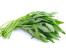 SAYUR KANGKUNG SAYUR KANGKUNG