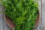 SAYUR DAUN KATUK SAYUR DAUN KATUK