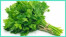 SAYUR SELEDRI SAYUR SELEDRI