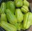 SAYUR LABU SIAM SAYUR LABU SIAM