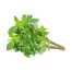SAYUR DAUN KEMANGI SAYUR DAUN KEMANGI