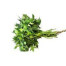 SAYUR DAUN PEPAYA SAYUR DAUN PEPAYA