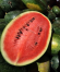  Buah Semangka  