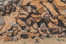  KAYU BAKAR  