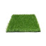 Rumput Partisi Rumput Partisi