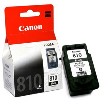 Catridge Canon PG 810 Black (Buah)