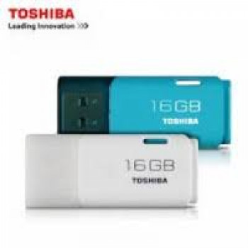 Flash Disk 16 GB