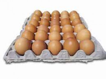 Telur ayam