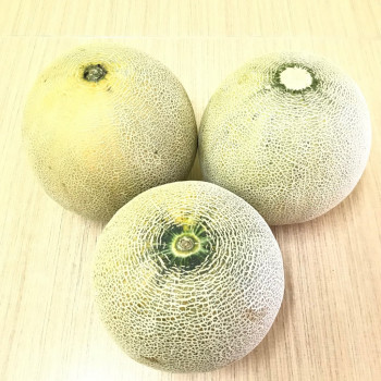 Melon