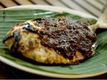 Ikan Sunu Parape