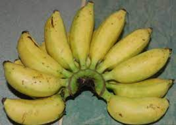 Pisang Susu