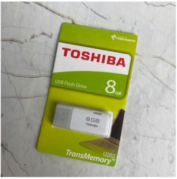 USB Flash disk  8 GB