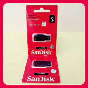 USB Flashdisk 8GB