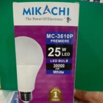 Lampu LED 25 watt