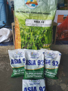 Benih Jagung Hibrida Asia (betina/jantan)