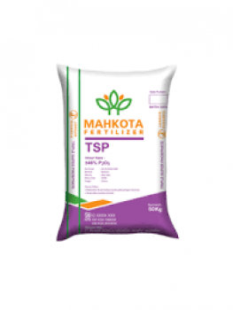 TSP MAHKOTA @1 kg