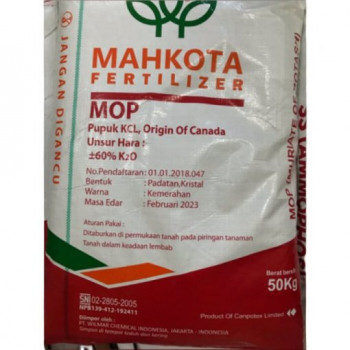 KCL MAHKOTA (KANADA) @1 Kg