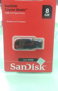 USB/Flash Disk