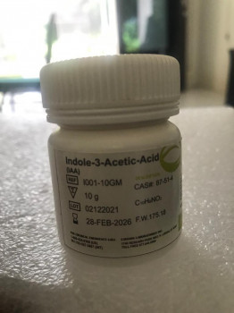 indole acetic acid