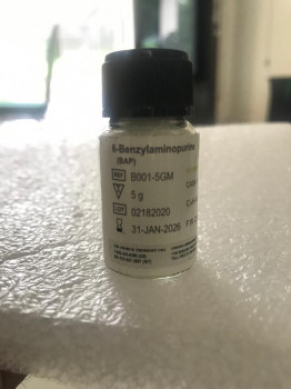 benzylaminepurine