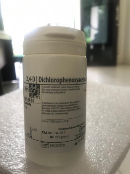 dichlorophenoxyacetic acid