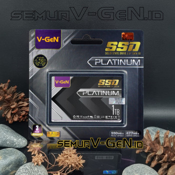 SSD V-Gen
