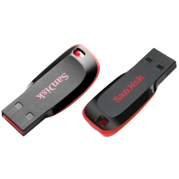 FlashDisk