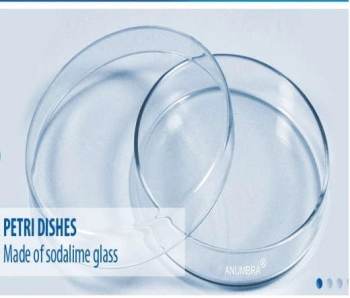petri dish ( cawan petridish )