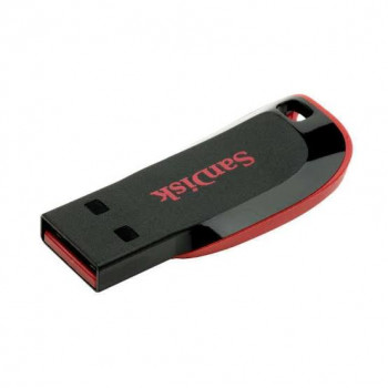 Flash Disk 32 GB