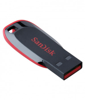 FLASHDISK 64 GB SANDISK