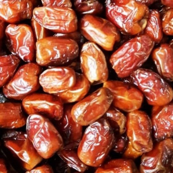 Kurma